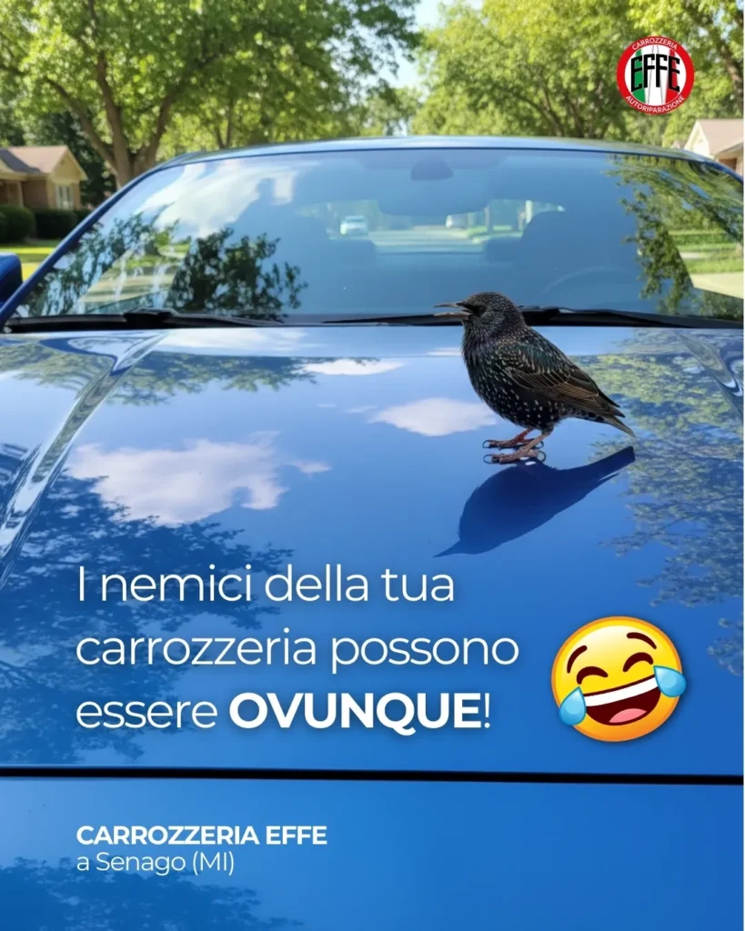 EFFE Corrosione carrozzeria - A blackbird standing on the hood of a blue car with trees reflected in the car's surface.